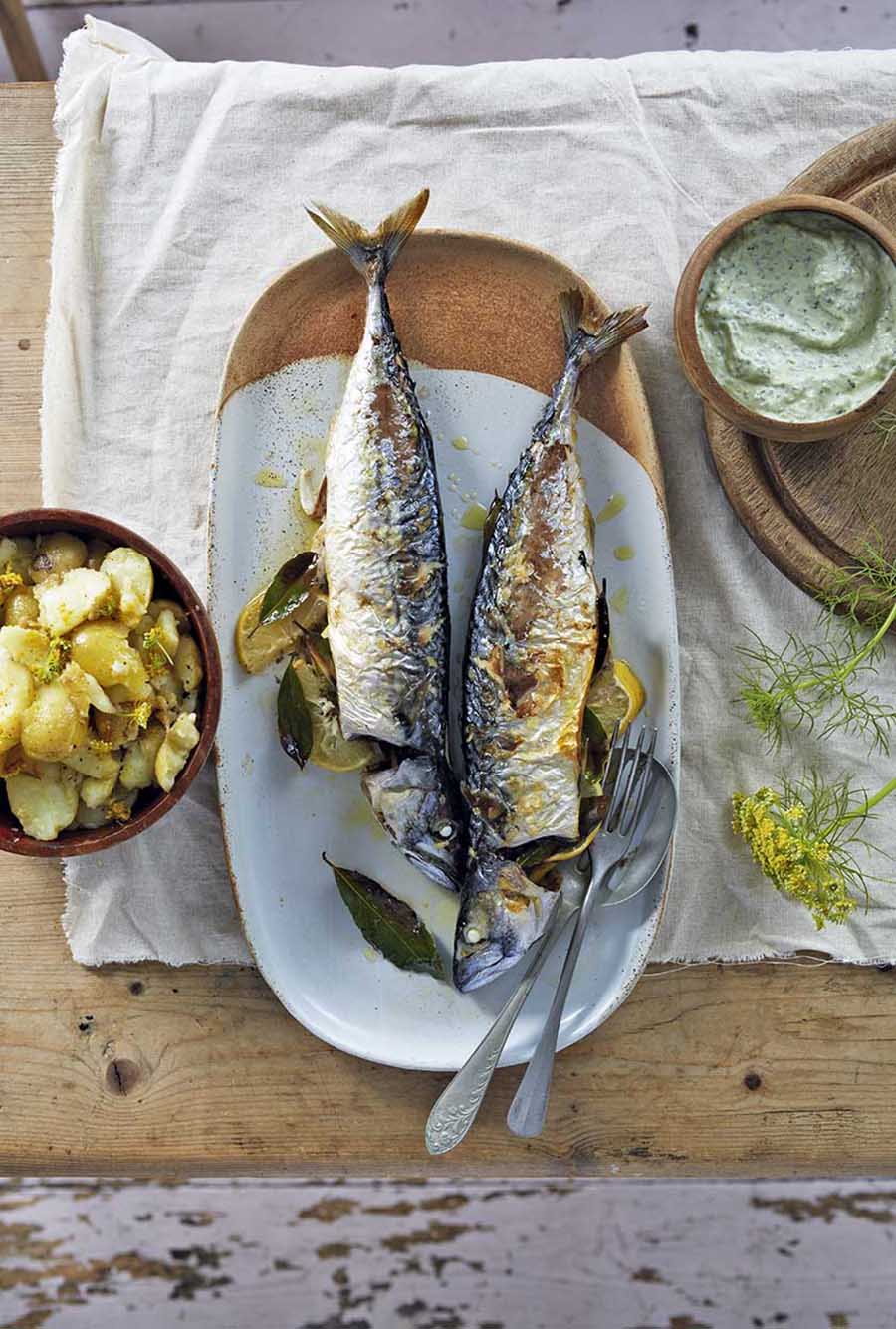 Krosse Makrele mit Sauerampfer-Joghurt | Food and Travel Magazine DE