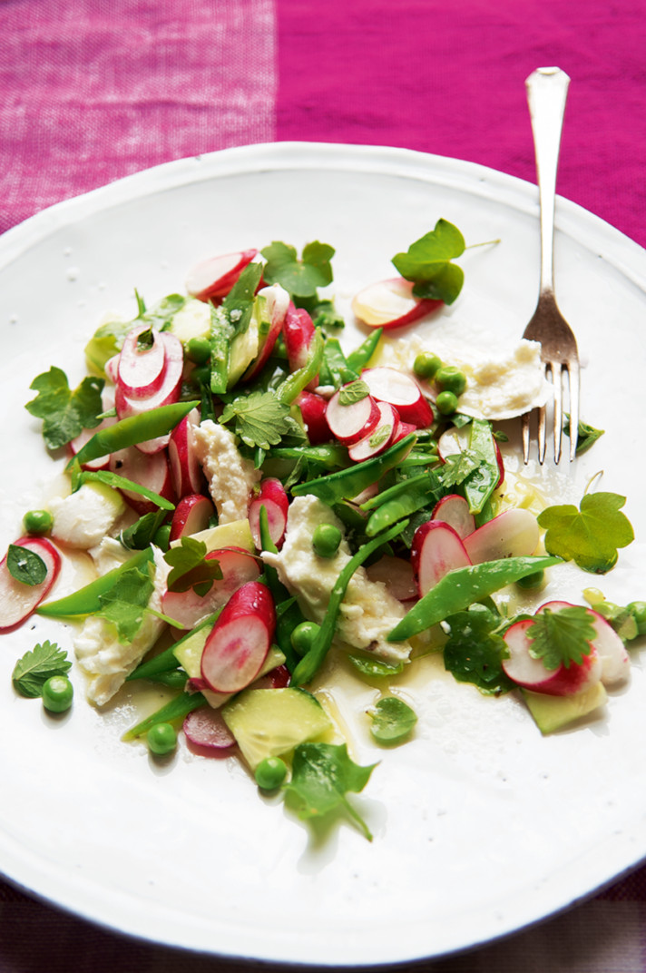 Gurken-Radieschen-Salat mit Erbsen, Kräutern und Mozzarella | Food and ...