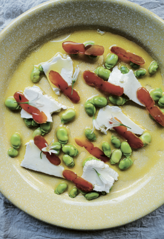 Dicke Bohnen, Bottarga und Ricotta