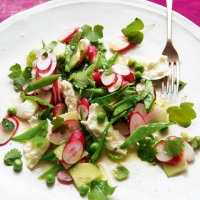 Gurken-Radieschen-Salat mit Erbsen, Kräutern und Mozzarella