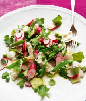 Gurken-Radieschen-Salat mit Erbsen, Kräutern und Mozzarella