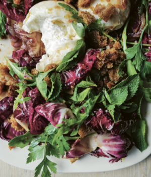 Agrodolce-Radicchiosalat mit Croûtons und Burrata