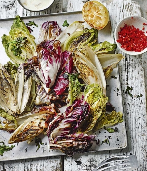 Gegrillter Salat mit Röstzitronen-Dressing