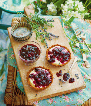 Zitronenfrische Ziegenkäsetörtchen mit Heidelbeeren und Lavendel