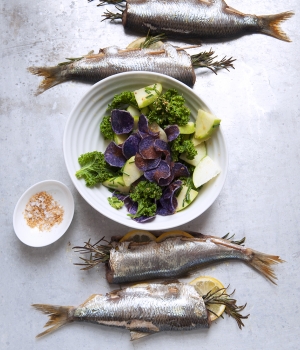 Kräuter-Hering vom Grill mit knackigem Apfel-Grünkohl-Kartoffelsalat