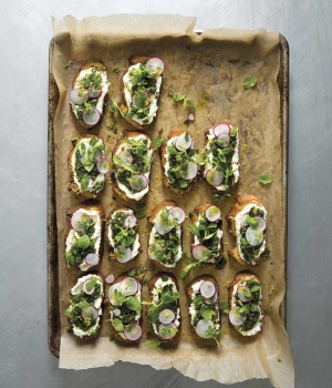 Crostini mit griechischem Joghurt und Vogelmiere