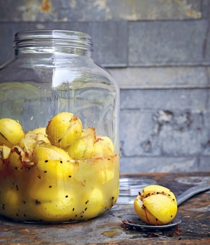 Eingelegte Zitronen mit Saflor