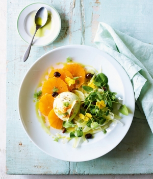 Büffelmozzarella mit Orange, Fenchel und Basilikumöl