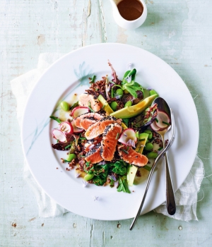 Lachs-Sashimi-Salat auf Quinoa mit Miso-Dressing