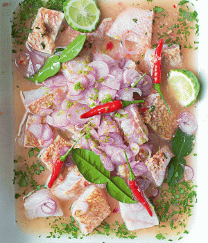 Asiatische Ceviche von weißem Fisch