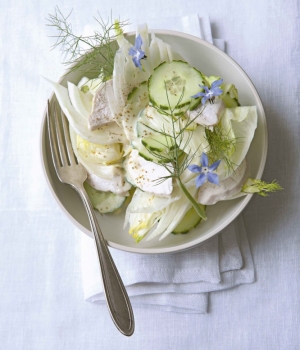 Fenchel-Gurken-Salat mit pochiertem Hähnchen und Buttermilch-Dressing